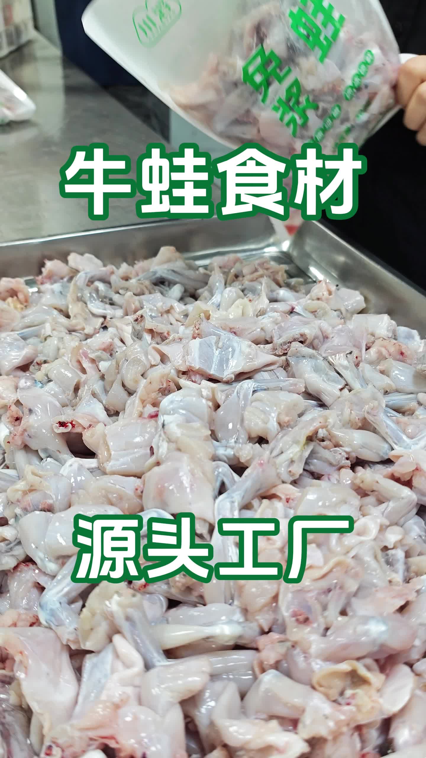 牛蛙喂养食物图片