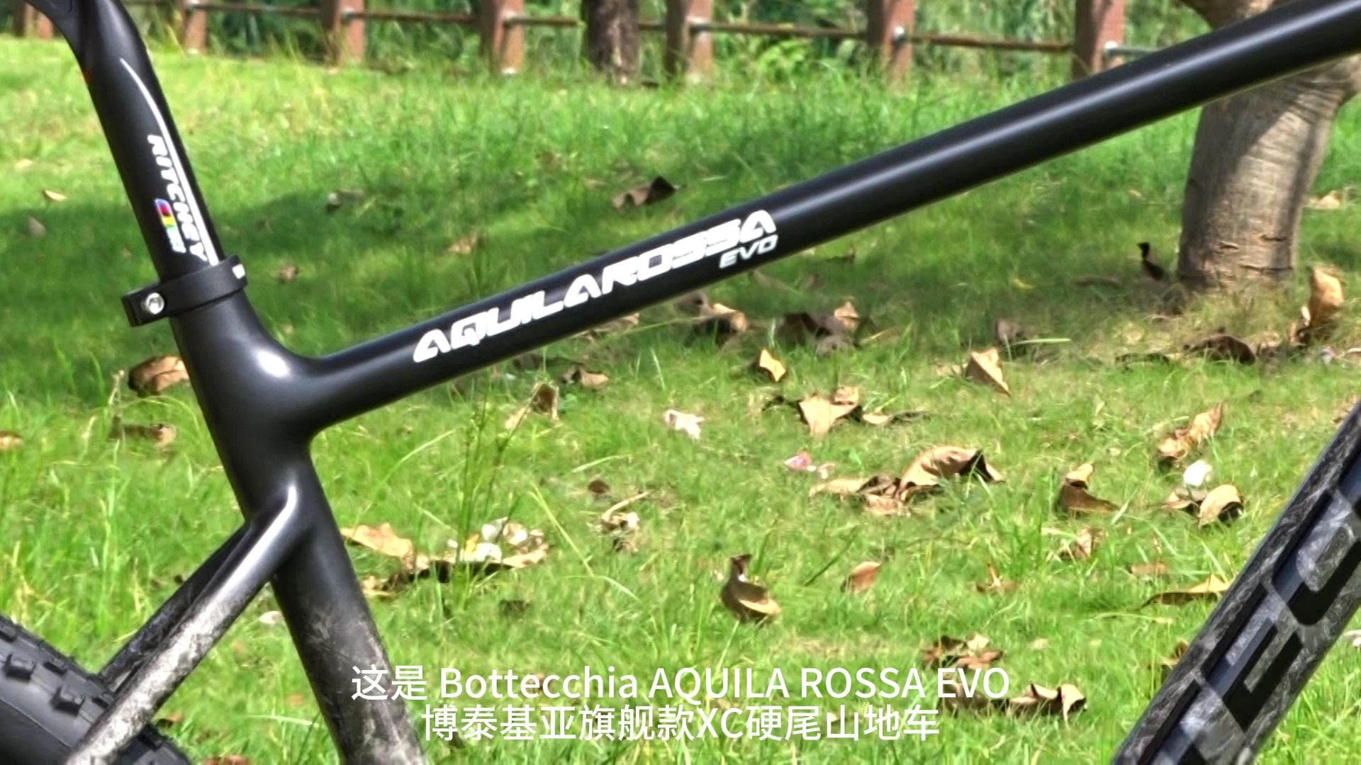 Bottecchia 博泰基亚 AQUILA ROSSA EVO 实车详解哔哩哔哩bilibili