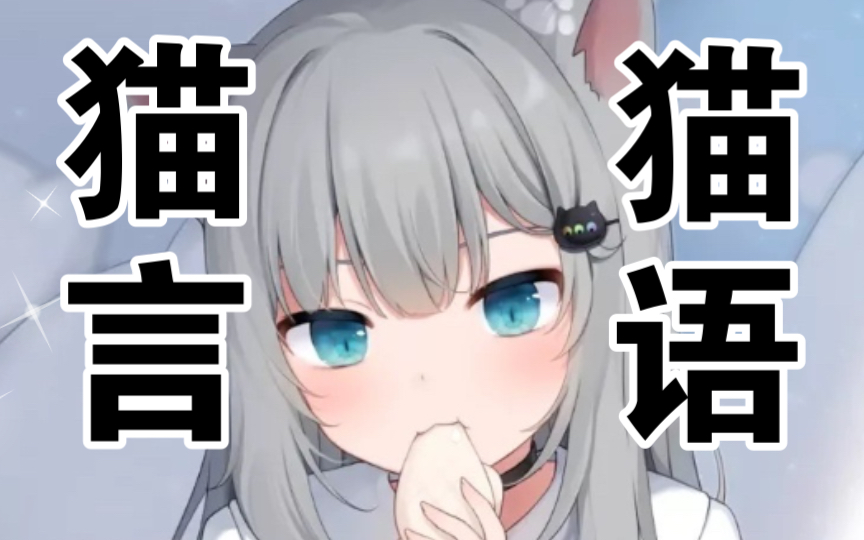 猫猫乌漆墨黑变身!!!哔哩哔哩bilibili