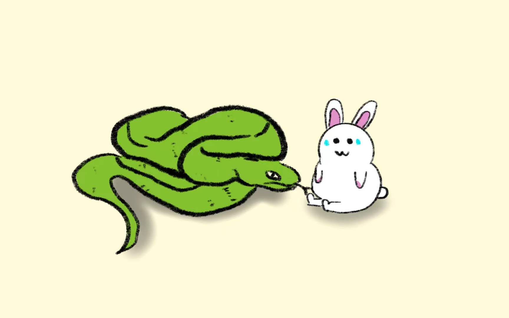 蛇和兔子在一起的图片图片