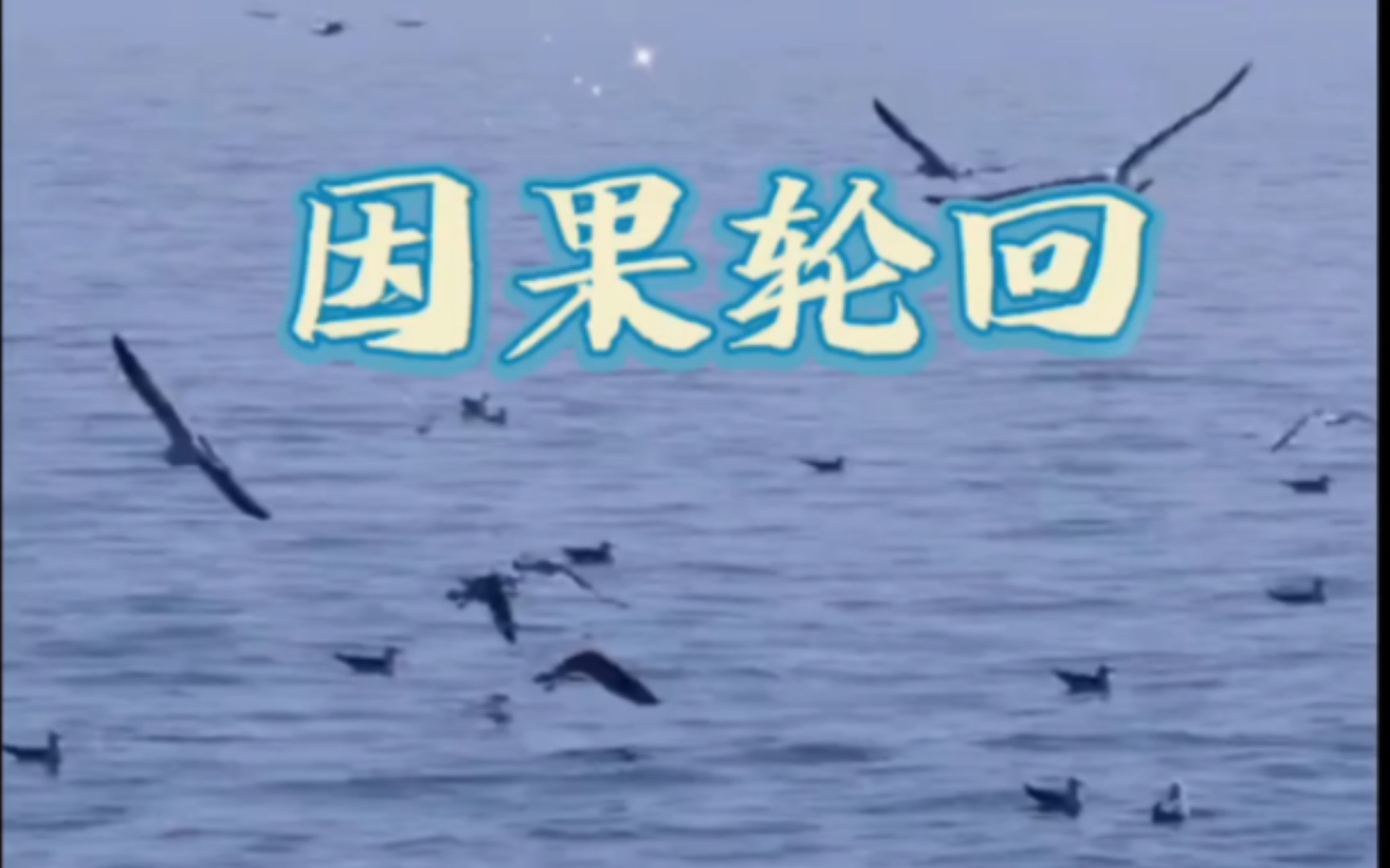 生活感悟#因果轮回