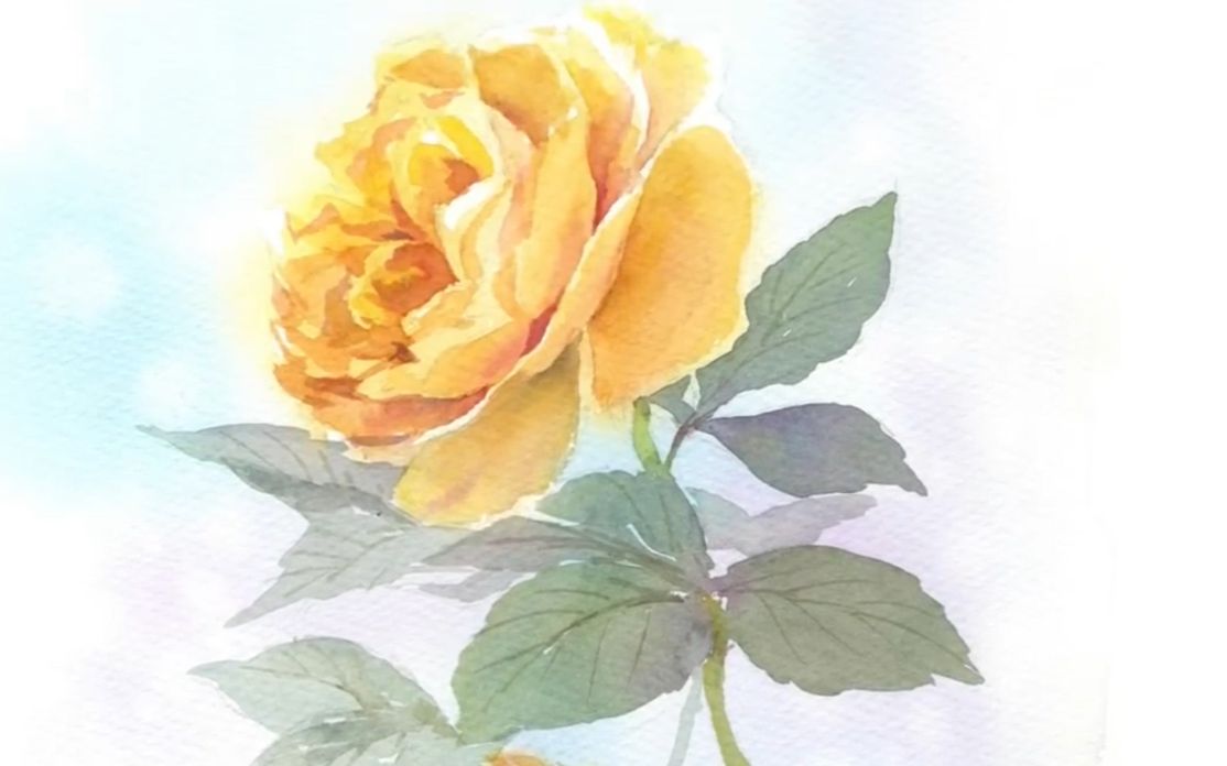 水彩黄玫瑰