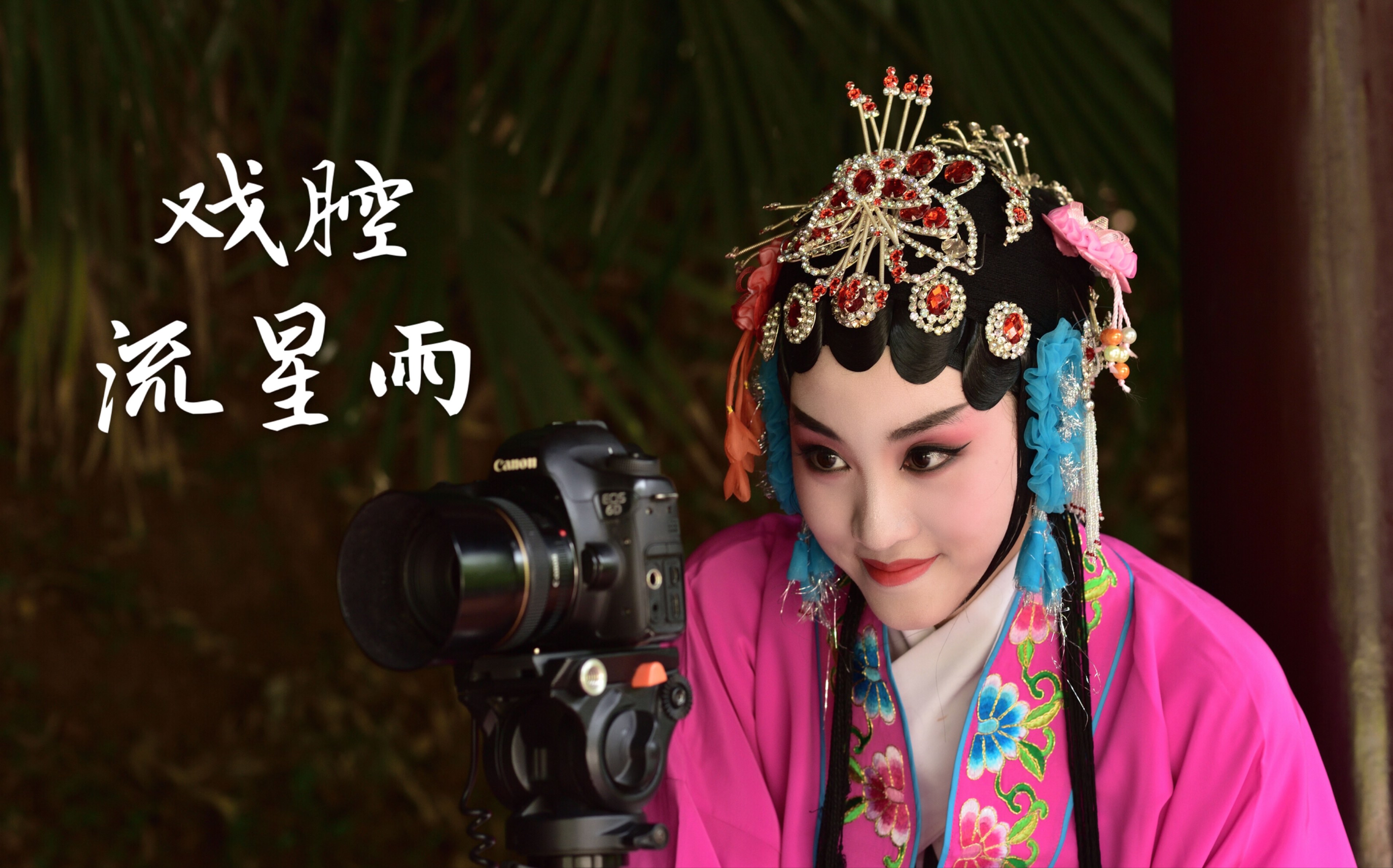 【戏腔】流星雨 送你们一场穿越千年的流星雨,愿你们2019心想事成!