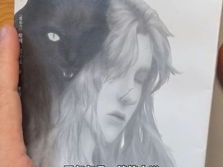 《黑猫:艾伦·坡短篇小说集》