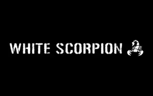 【WHITE SCORPION】秋元康制作11人新组合最终成员公开 12.7即将出道!