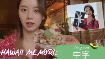 【中字|惠利的vlog】夏威夷记忆2-购物分享-美食探店