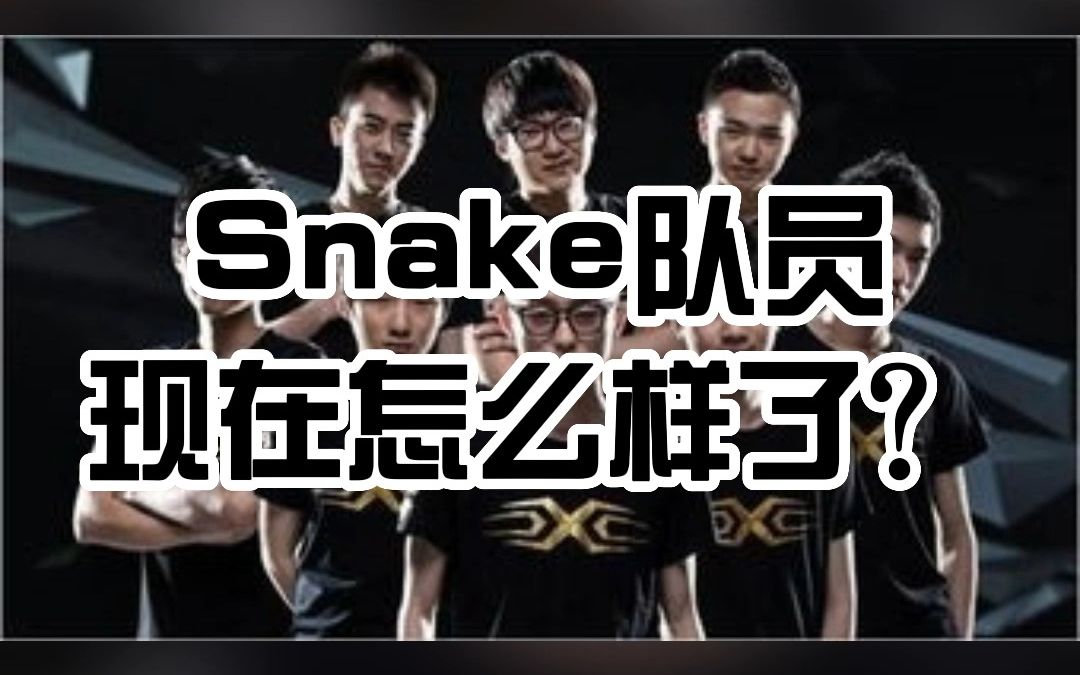 【LOL热知识】Snake队员现在怎么样了?(20152016)电子竞技热门视频