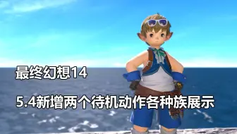 最终幻想14 5 21重建伊修加德刮刮乐奖励外观及成就外观各种族展示 Ff14 哔哩哔哩 Bilibili