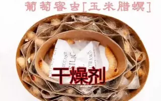 蜜虫 搜索结果 哔哩哔哩弹幕视频网 つロ乾杯 Bilibili