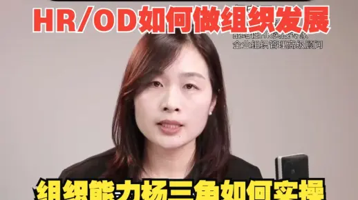 高阶HR如何利用组织杨三角模型进行组织诊断提升组织能力