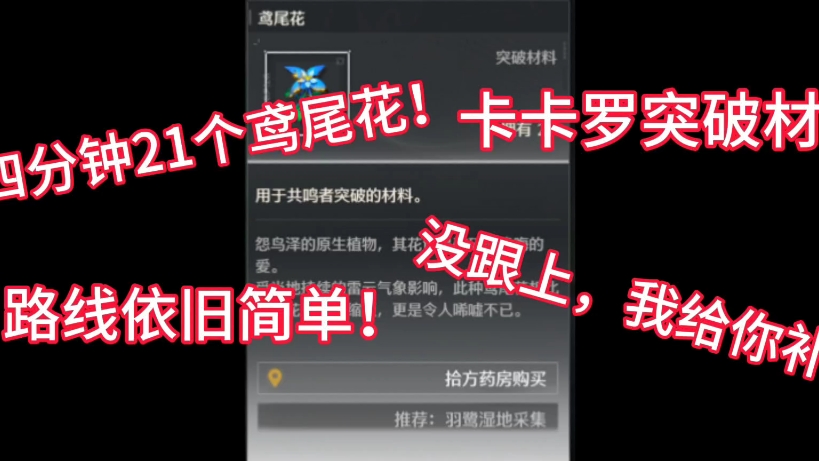 鸣潮攻略:卡卡罗突破材料鸢尾花采集路线手机游戏热门视频