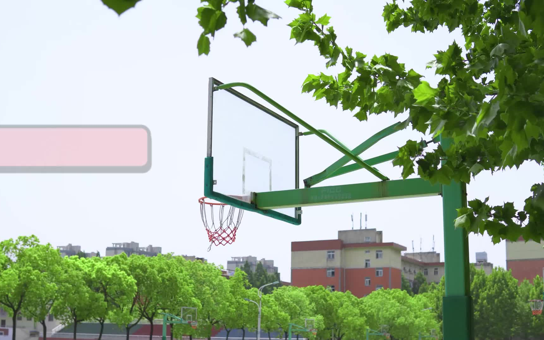郑州师范学院大学生的体育回忆