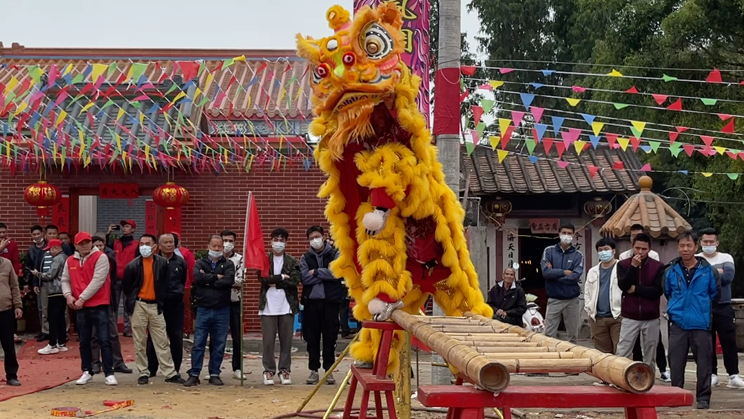 [图]传统桥青｜湛江遂溪龙湾醒狮团｜国家级非遗遂溪龙湾醒狮｜舞狮表演｜舞龙舞狮｜广东醒狮