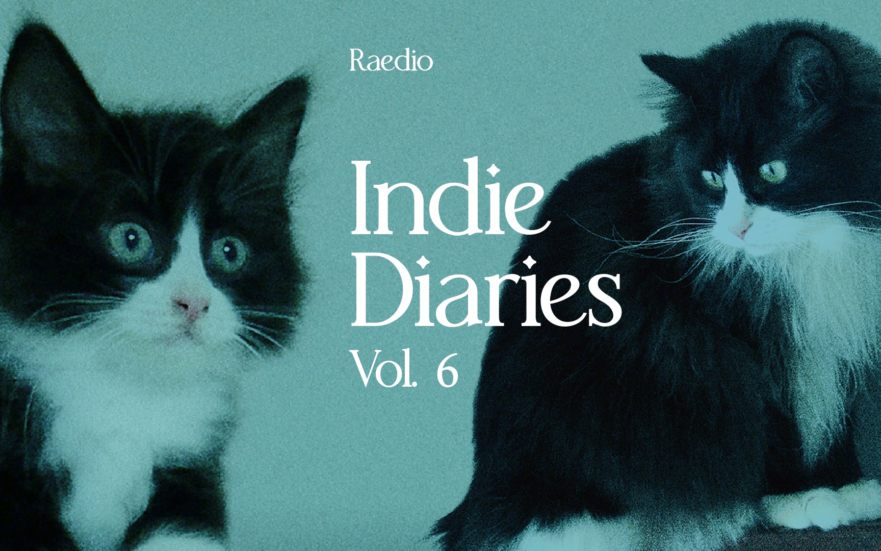 Indie Diaries Vol. 6 结成近30年的日本“梦幻民谣” Pervenche  quite small happiness哔哩哔哩bilibili