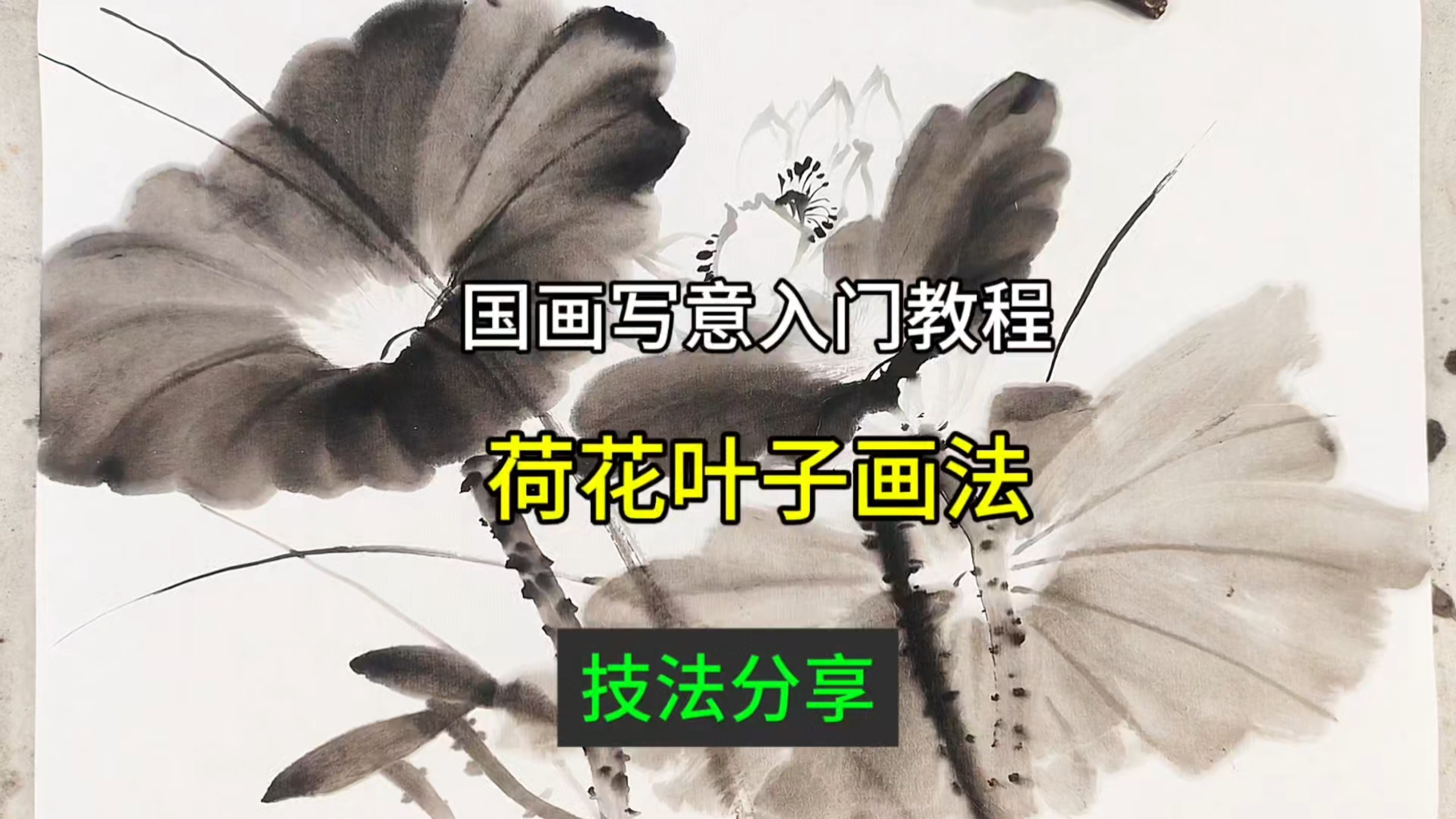 荷花叶子水墨画法有两个技巧，希望对你有帮助