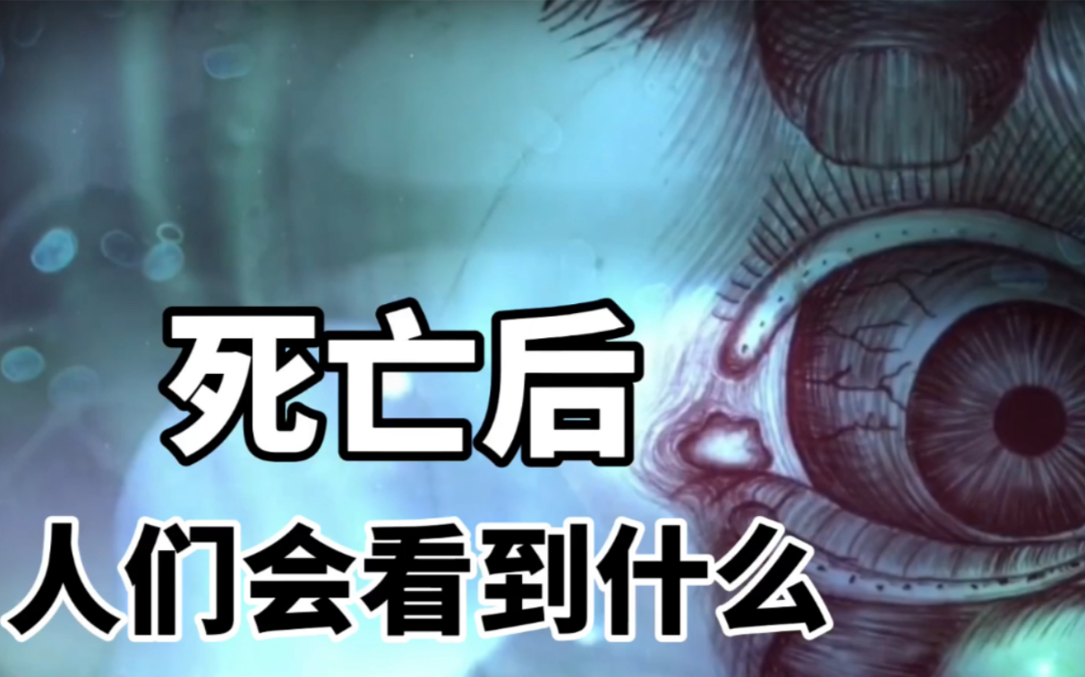 人死后会去哪里人们又会看到什么死而复生的人揭晓答案