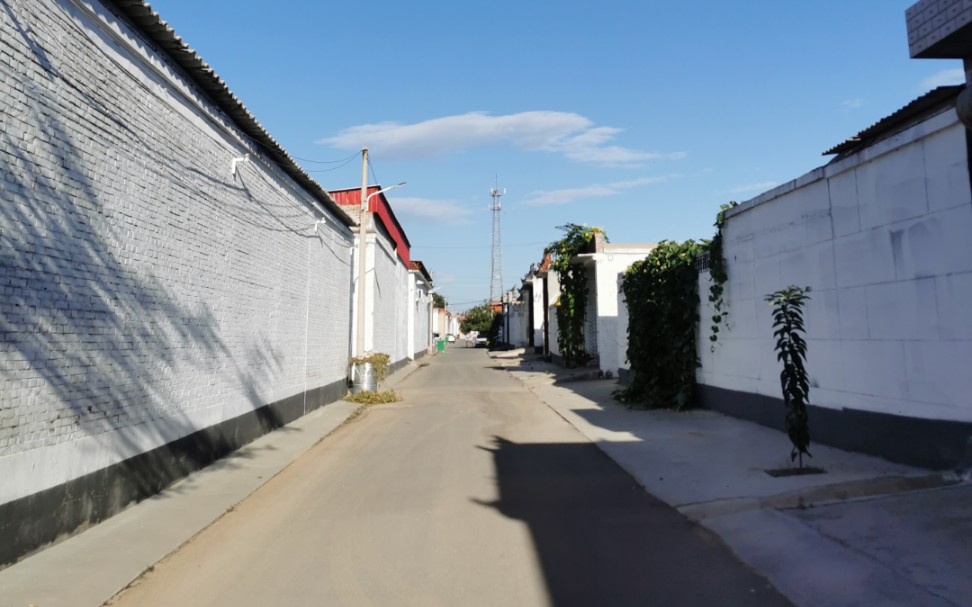 北方农村街景实拍_哔哩哔哩_bilibili