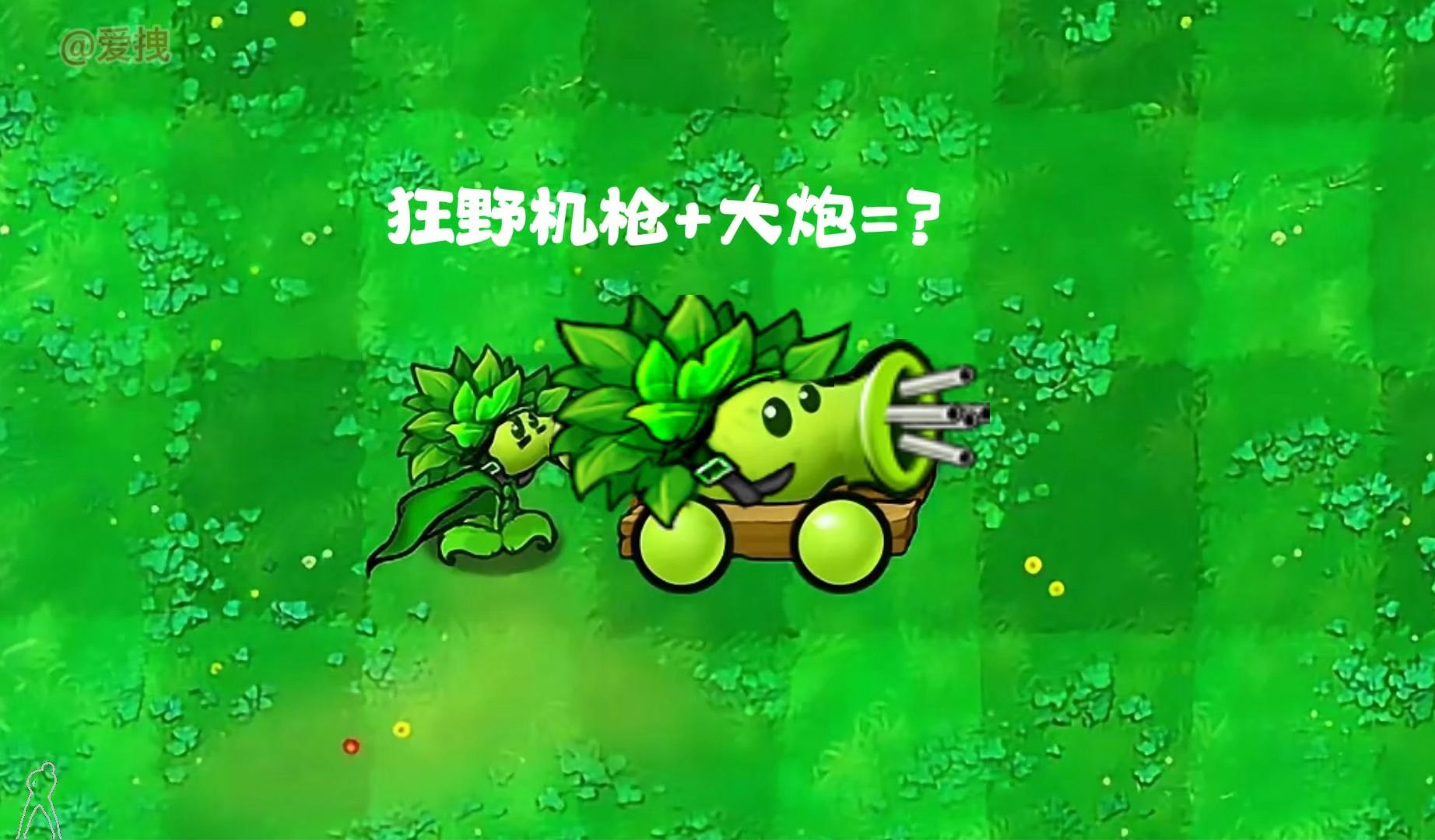 如果把狂野机枪射手和豌豆大炮进行杂交