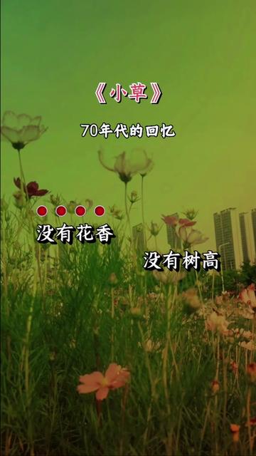 老歌推荐 #小草 #经典老歌 #音乐分享 #完整版