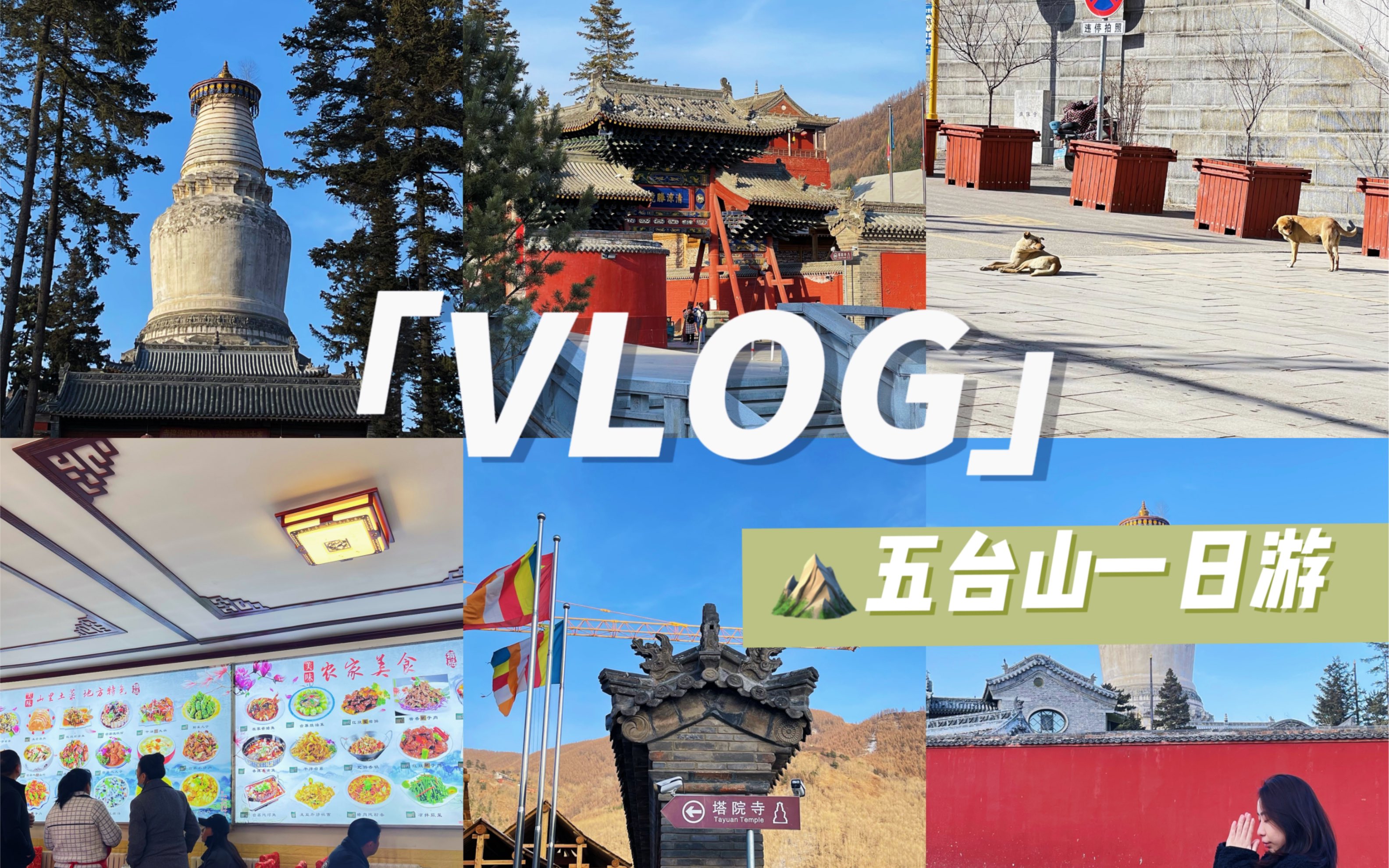 VLOG|五台山一日游|景点避坑指南|爬山|自驾游哔哩哔哩bilibili