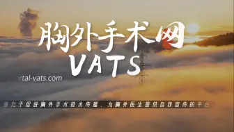 单孔胸腔镜左肺上叶前段LS3c亚段切除术 王彬教授供稿