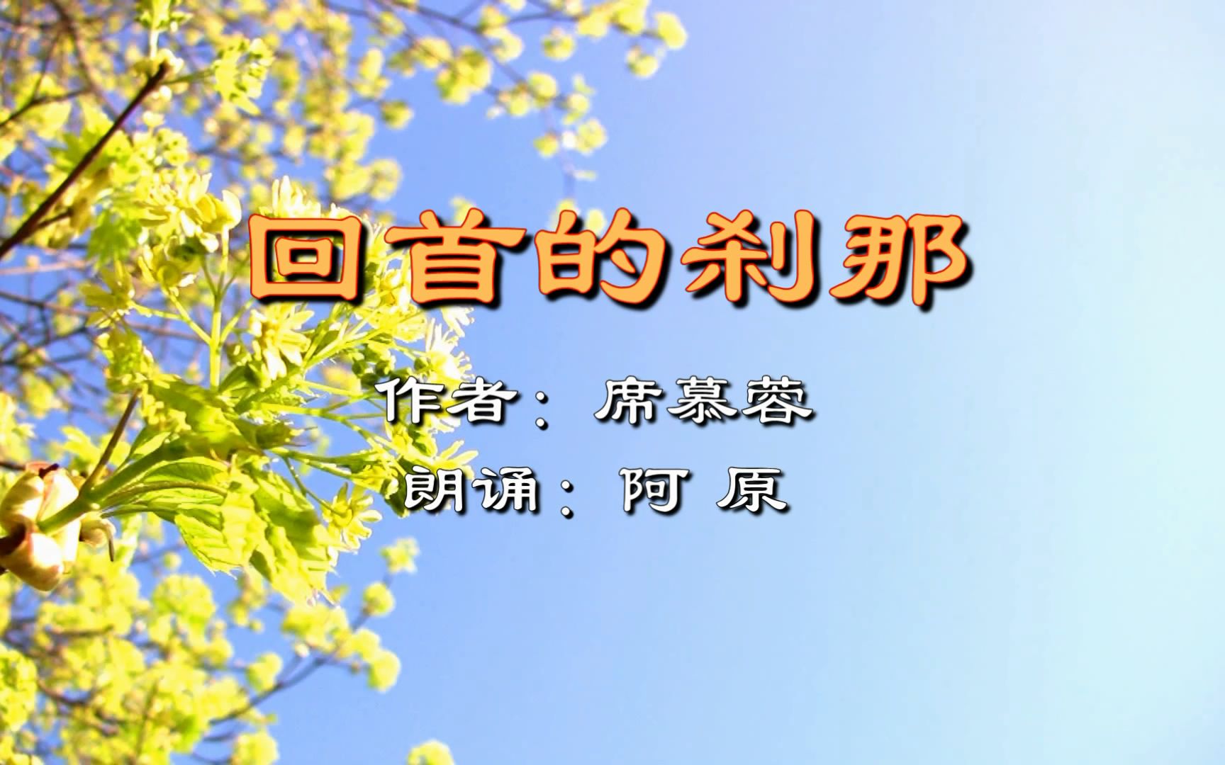 回首往事总让人感慨,读席慕蓉《回首的刹那》,追忆那些曾经的过往