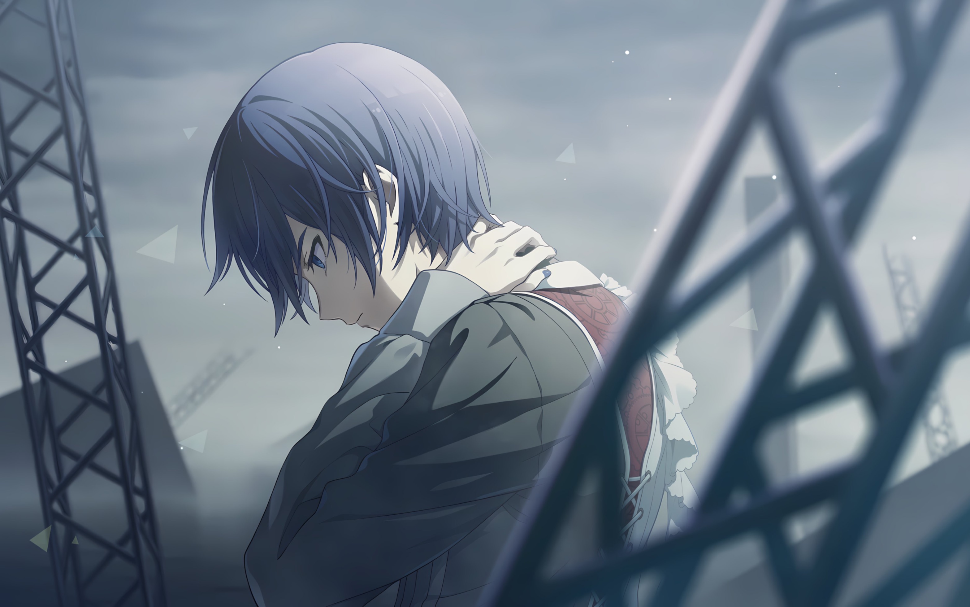 【中字/cc字幕】project sekai kaito 4星卡面「座視できない思い」