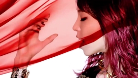 蓮華 pv 紅