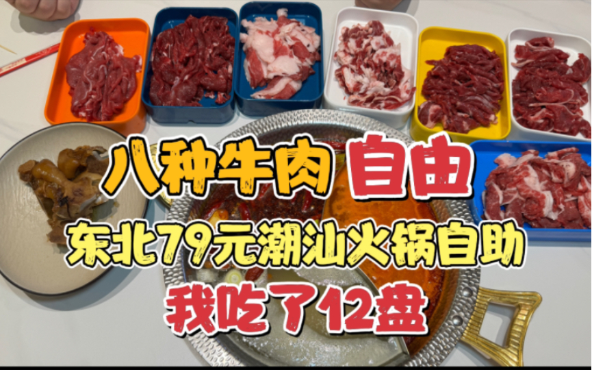 沈阳大东区79元潮汕牛肉自助餐,12盘牛肉吃饱了,算下每盘才6元,锦与鲤哔哩哔哩bilibili