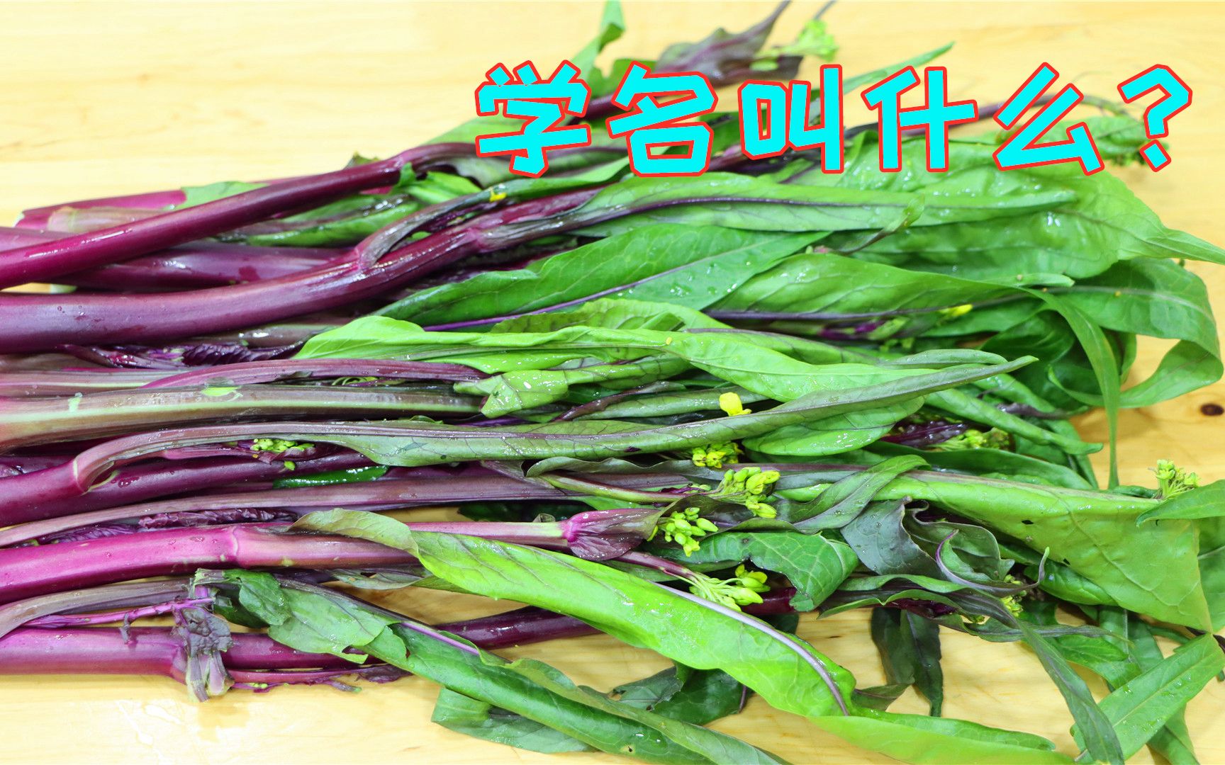 红油菜堪称蔬菜中的奢侈品春节期间炒一盘上桌盘子都要舔干净