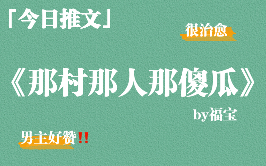 【推文】超强推那村那人那傻瓜by福宝,超好看,入股不亏宝子们!哔哩哔哩bilibili