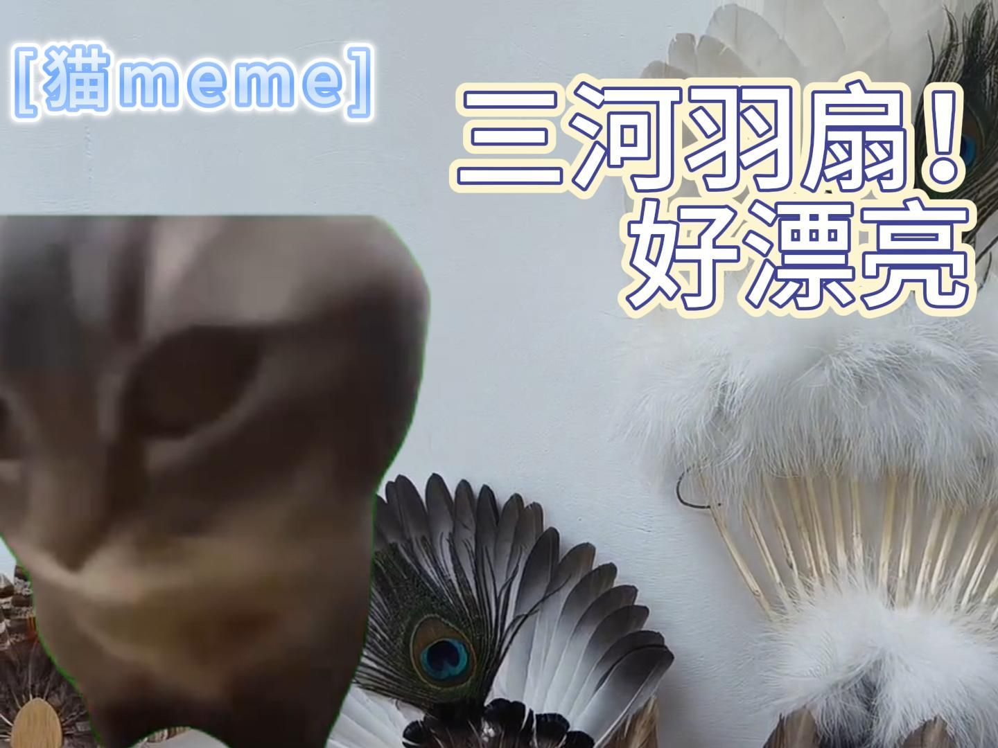 【猫meme】当我在中科大制作非遗哔哩哔哩bilibili