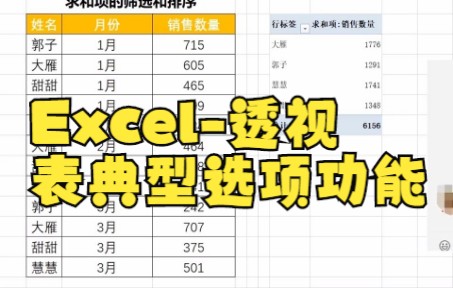 【excel表格制作】数据透视表的求和项怎样筛选和排序呢?哔哩哔哩bilibili