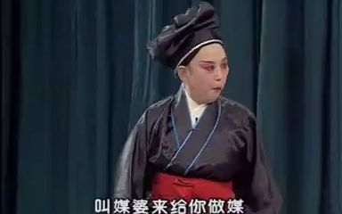 十不全招亲哔哩哔哩bilibili