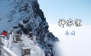 Download Video: 净化心灵之旅大型流水账// 冬天的神农架为什么是淡季？！