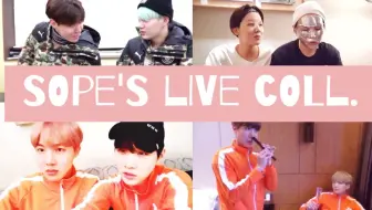 Greenhope Bromance Suhopega Bts Live Sope 花开市场 哔哩哔哩 Bilibili