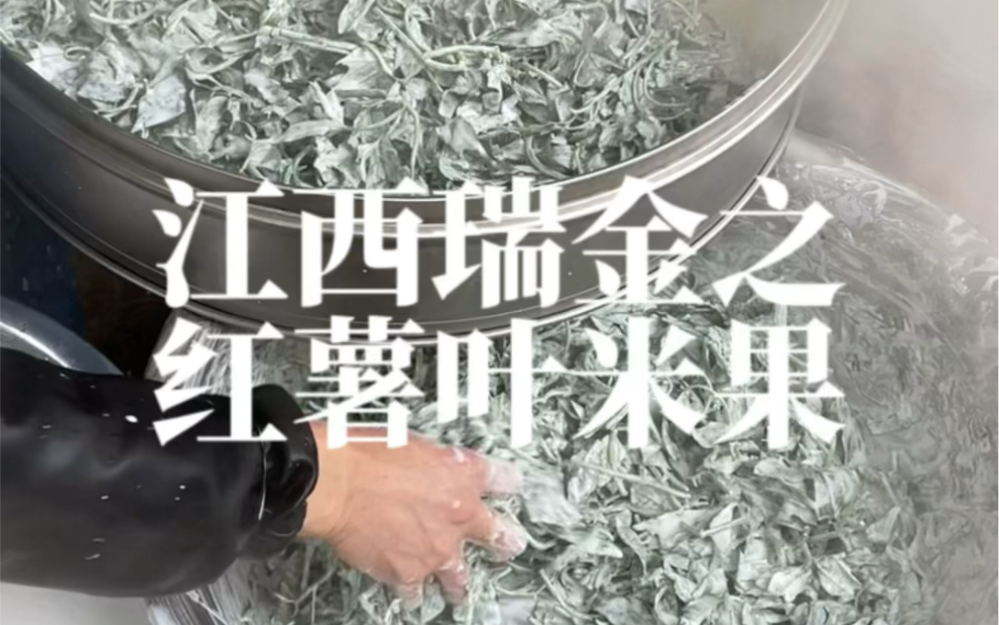 江西瑞金九堡美食红薯叶米果!巨健康还通便!