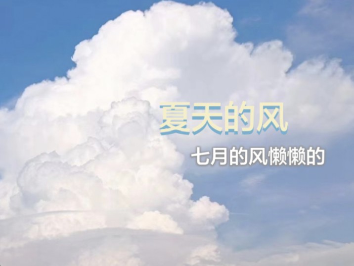 「夏天的风翻唱」清清楚楚地说你爱我