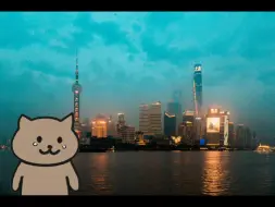 Download Video: 猫猫怎么哭了