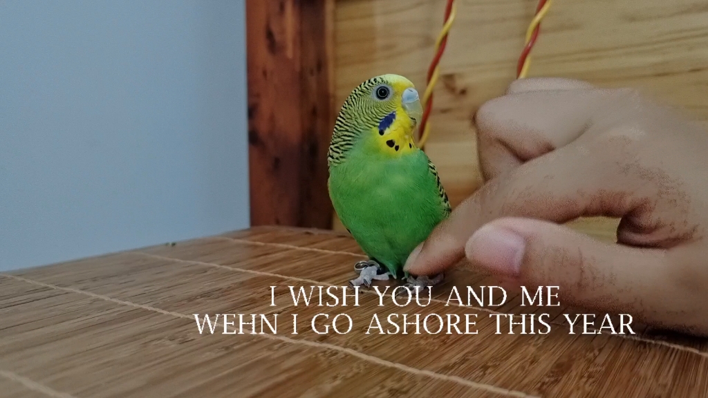 任人摆弄的绿皮皮(狗头)