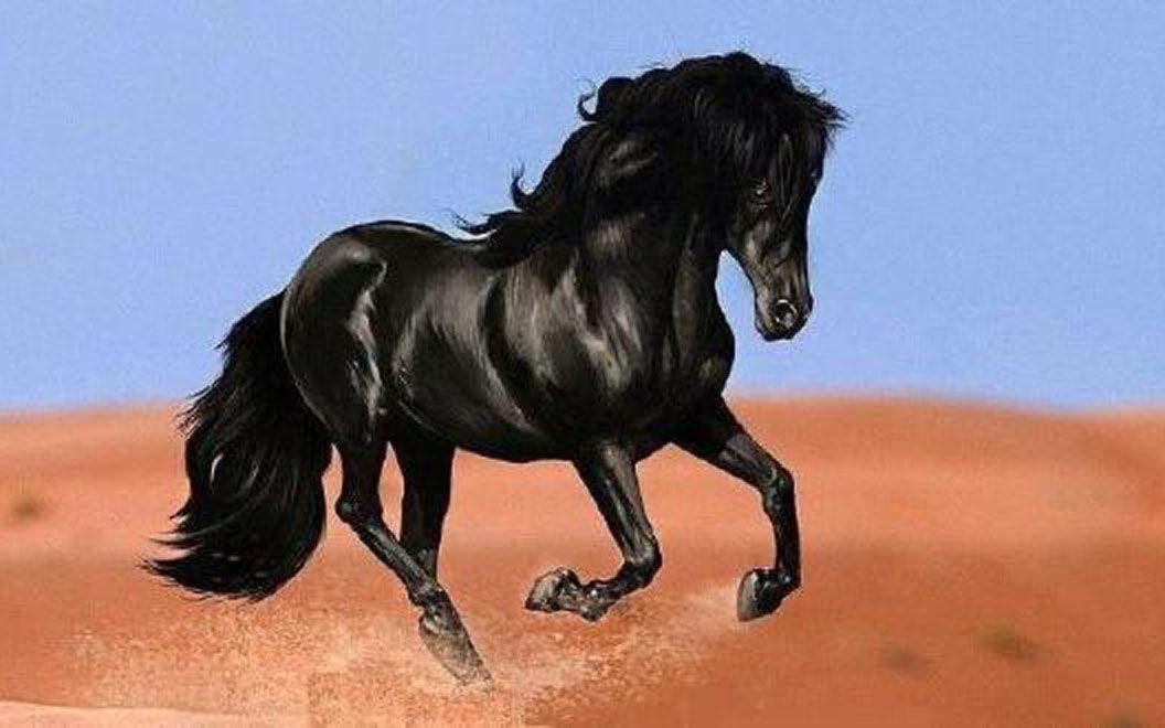 世人只知吕布的坐骑,可你知道张飞的吗?