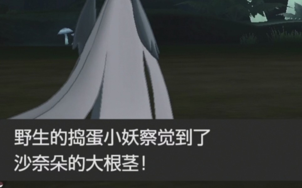 野生的捣蛋小妖察觉到了沙奈朵的大根茎2