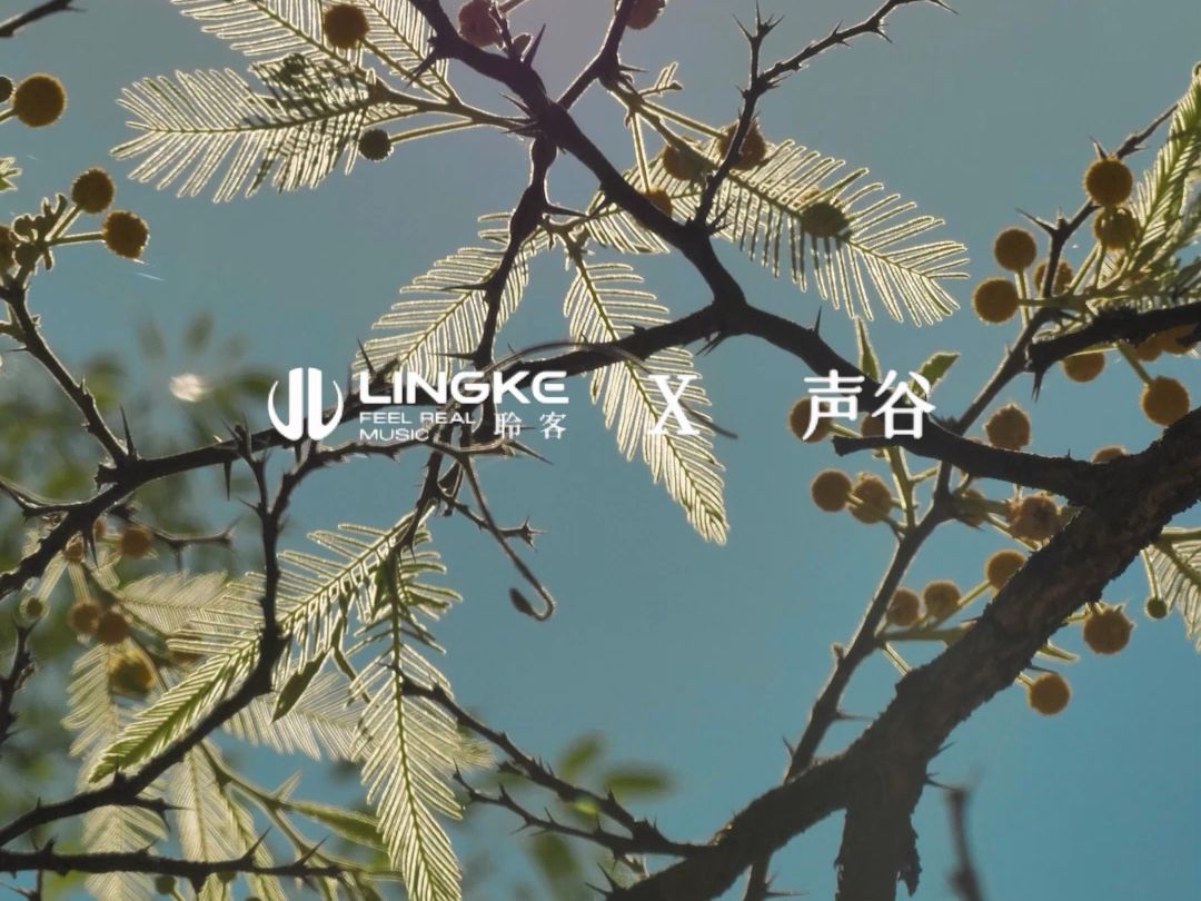 自然履人 听风与自然的温柔际遇聆客X声谷 原创大自然白噪音音源分享#聆客音箱 #聆客音响 #治愈系风景 #万物生长 #随手拍哔哩哔哩bilibili