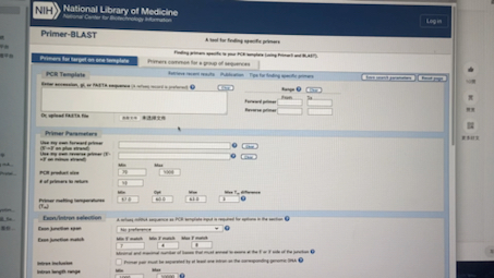 快速查找qRT PCR引物序列并Blast验证哔哩哔哩bilibili