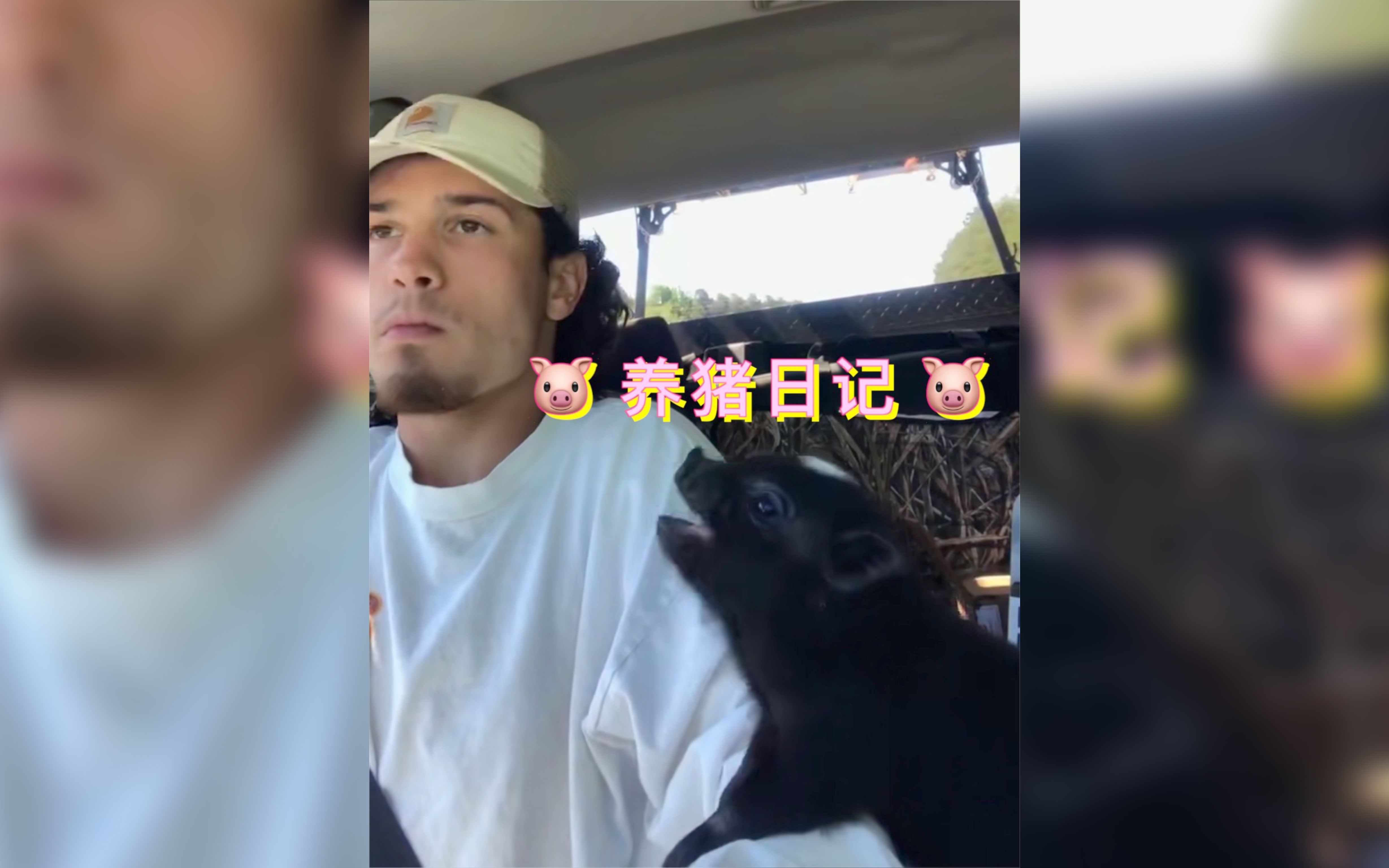 养猪日记哔哩哔哩bilibili