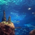 海底世界4K效果