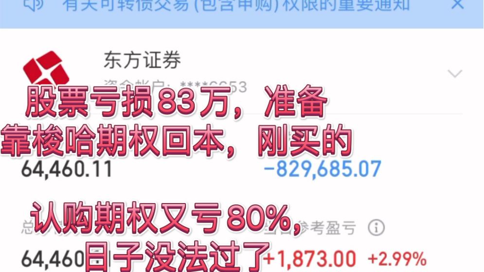 股票亏损83万,准备靠梭哈期权回本,刚买的认购期权又亏80%,日子没法过了,我简直就是反向指标,刚买认购大盘就跌,持仓过夜,现在美股还跌了900...