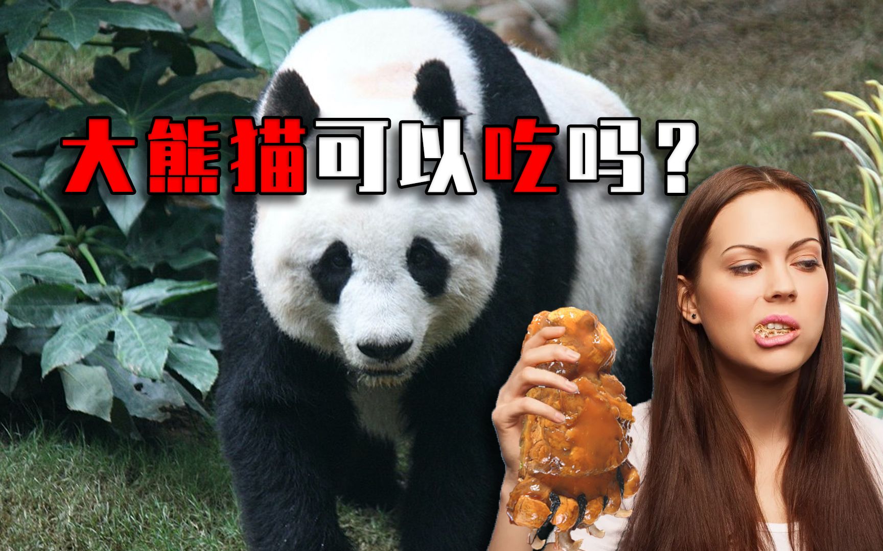 如果一个人快要饿死,真的能吃大熊猫吗?实际情况让人流泪!