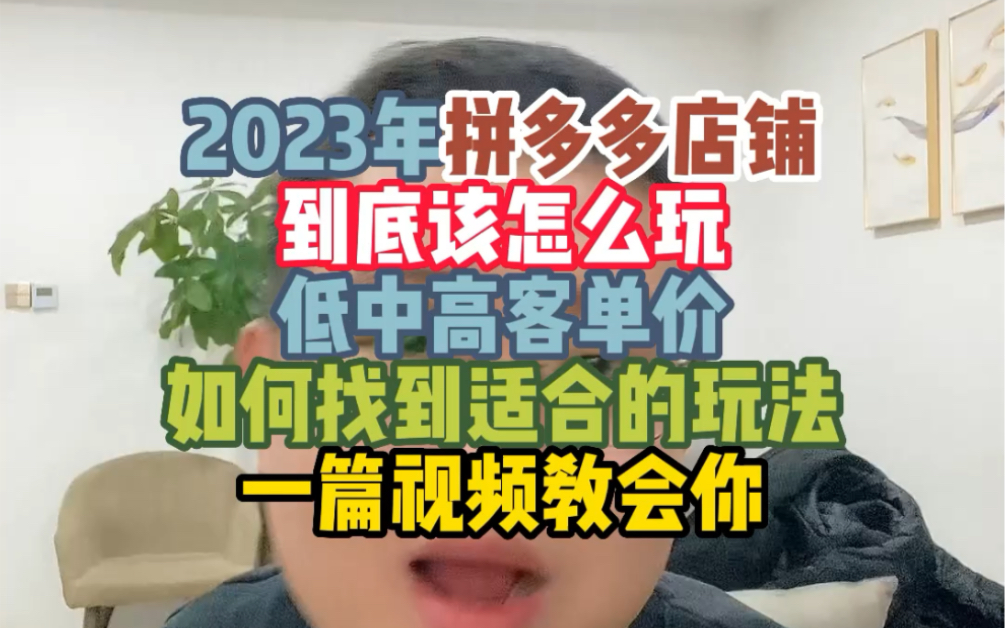 2023年拼多多店铺教你怎么玩,低中高客单价教你找到适合的玩法哔哩哔哩bilibili