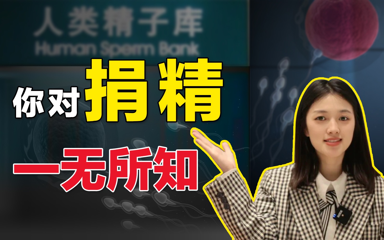 合格率20%?捐一次赚4500?捐精最全科普【女生也能看】哔哩哔哩bilibili